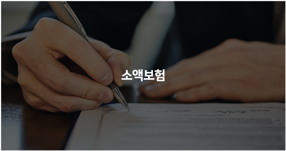 소액보험
