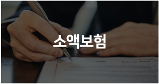소액보험